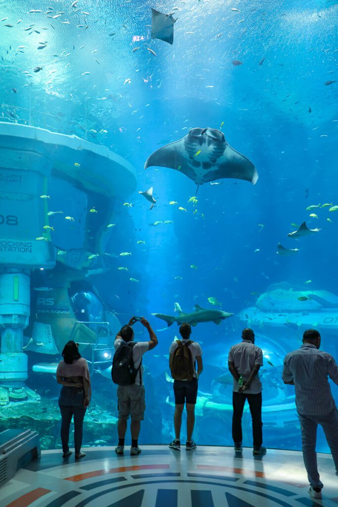 Coral-themed dining hall inside SeaWorld Abu Dhabi