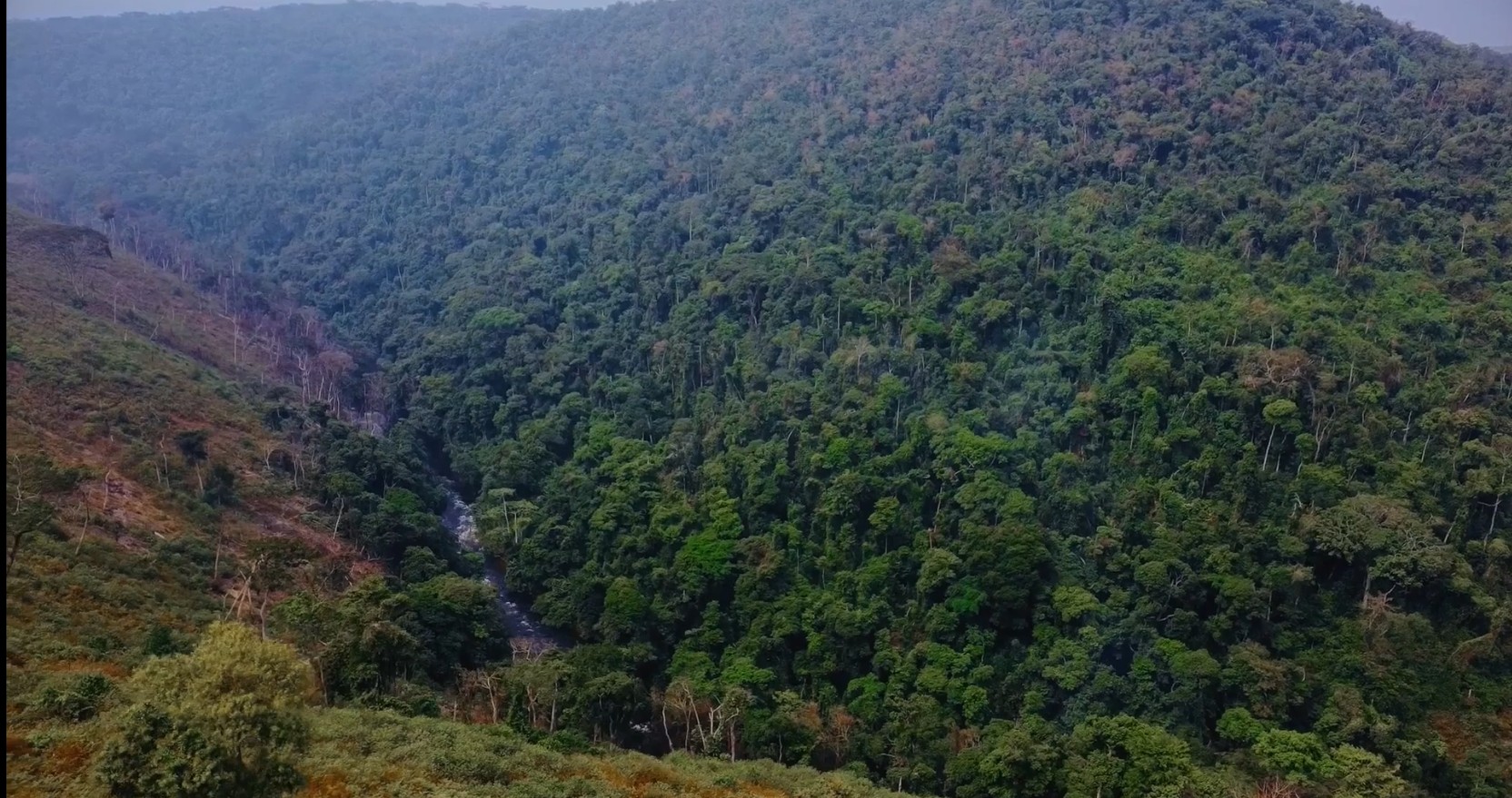 Bombo-Lumene Reserve