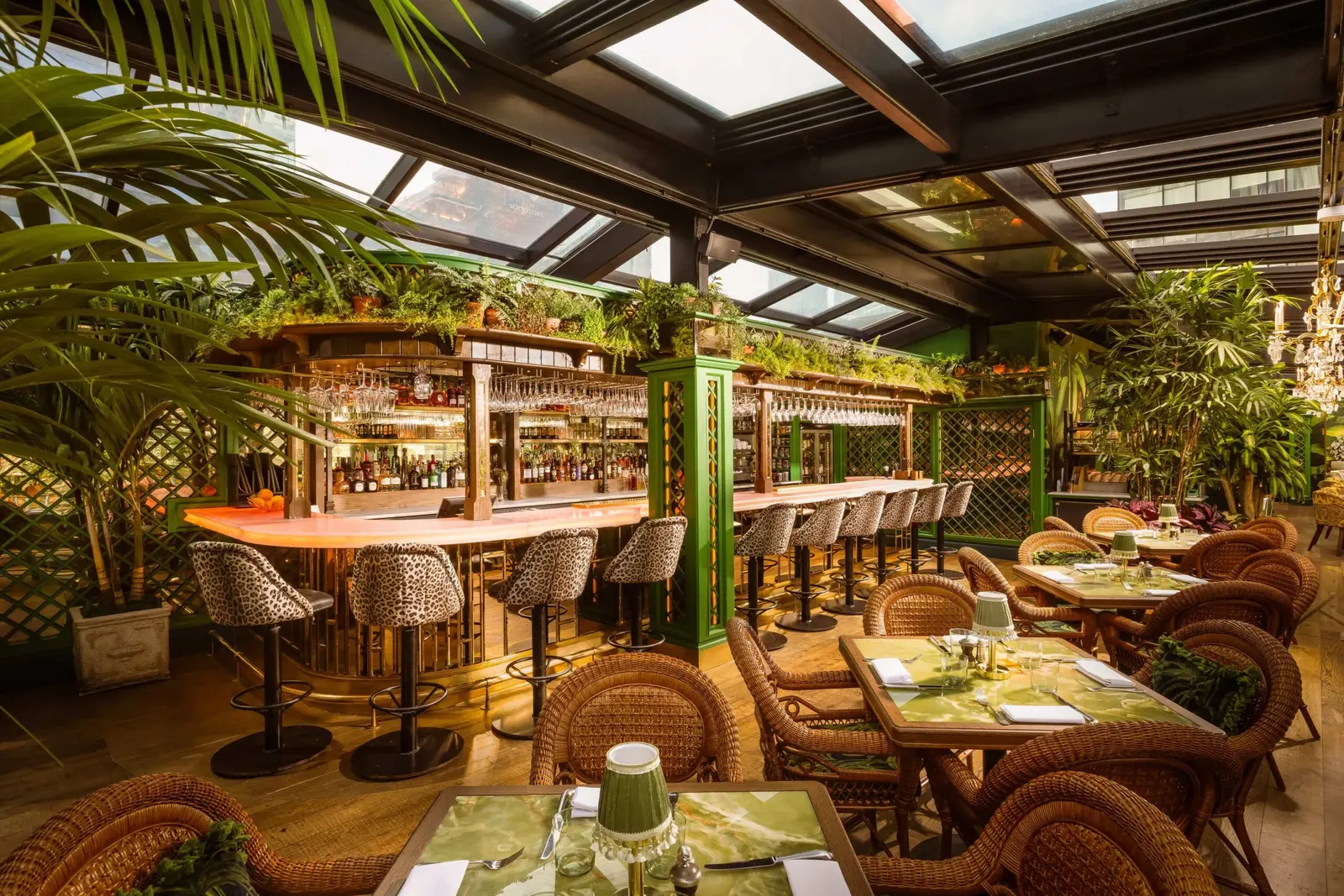 Plant-filled interior of The Ivy in Manchester
