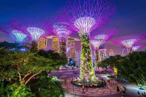 Supertree Grove lit up at night with Marina Bay Sands in the background